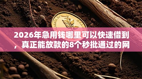 2026年急用钱哪里可以快速借到,真正能放款的8个秒批通过的网贷口子推荐 2026年急用钱哪里可以快速借到,真正能放款的8个秒批通过的网贷口子推荐