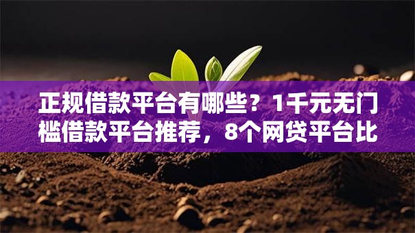 正规借款平台有哪些？1千元无门槛借款平台推荐，8个网贷平台比较容易通过的盘点