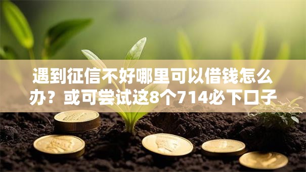 遇到征信不好哪里可以借钱怎么办？或可尝试这8个714必下口子借款平台