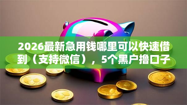 2026最新急用钱哪里可以快速借到(支持微信),5个黑户撸口子无私分享 2026最新急用钱哪里可以快速借到(支持微信),5个黑户撸口子无私分享