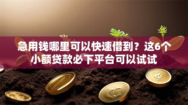 急用钱哪里可以快速借到?这6个小额贷款必下平台可以试试 急用钱哪里可以快速借到?这6个小额贷款必下平台可以试试