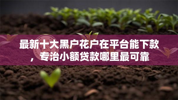 最新十大黑户花户在平台能下款,专治小额贷款哪里最可靠 最新十大黑户花户在平台能下款,专治小额贷款哪里最可靠