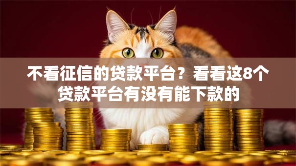 不看征信的贷款平台？看看这8个贷款平台有没有能下款的