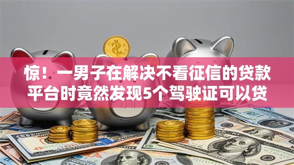 惊！一男子在解决不看征信的贷款平台时竟然发现5个驾驶证可以贷款的平台，事后分享了出来