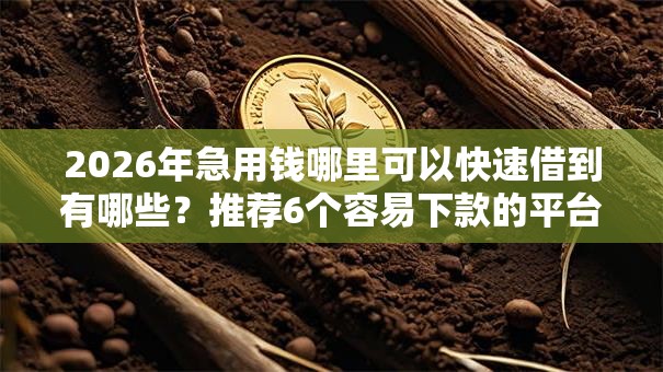 2026年急用钱哪里可以快速借到有哪些？推荐6个容易下款的平台