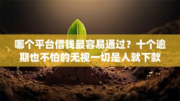 哪个平台借钱最容易通过？十个逾期也不怕的无视一切是人就下款的app