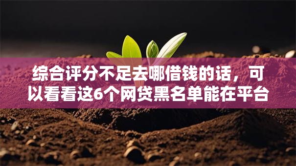 综合评分不足去哪借钱的话，可以看看这6个网贷黑名单能在平台借钱