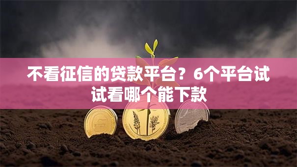 不看征信的贷款平台？6个平台试试看哪个能下款