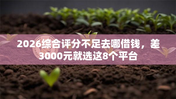 2026综合评分不足去哪借钱，差3000元就选这8个平台