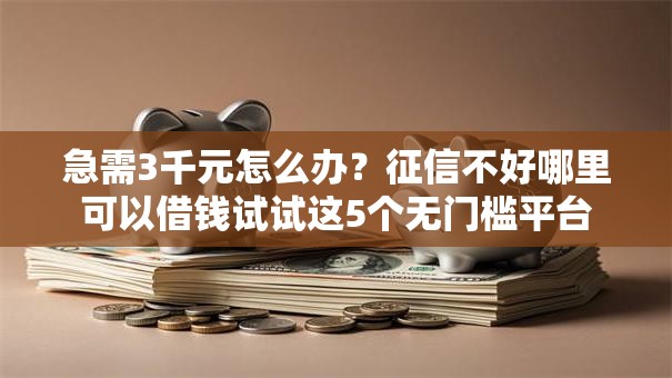 急需3千元怎么办？征信不好哪里可以借钱试试这5个无门槛平台