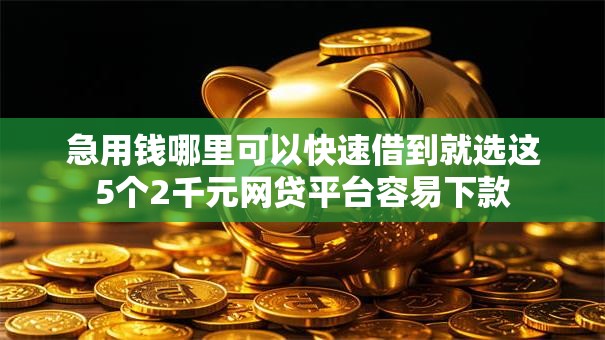 急用钱哪里可以快速借到就选这5个2千元网贷平台容易下款 急用钱哪里可以快速借到就选这5个2千元网贷平台容易下款