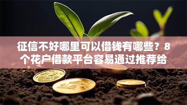 征信不好哪里可以借钱有哪些?8个花户借款平台容易通过推荐给你 征信不好哪里可以借钱有哪些?8个花户借款平台容易通过推荐给你