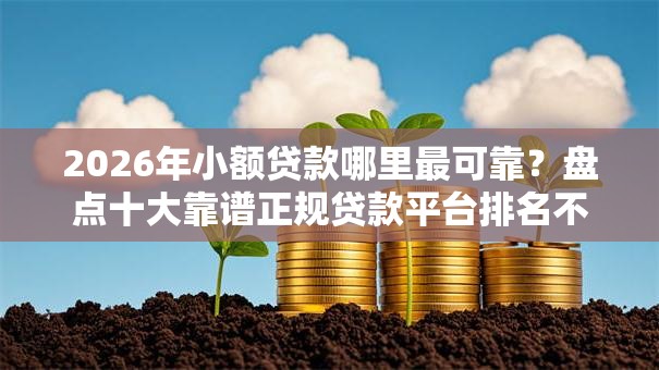 2026年小额贷款哪里最可靠？盘点十大靠谱正规贷款平台排名不分先后