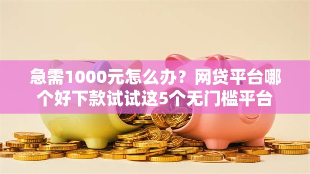 急需1000元怎么办?网贷平台哪个好下款试试这5个无门槛平台 急需1000元怎么办?网贷平台哪个好下款试试这5个无门槛平台