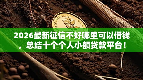 2026最新征信不好哪里可以借钱,总结十个个人小额贷款平台! 2026最新征信不好哪里可以借钱,总结十个个人小额贷款平台!
