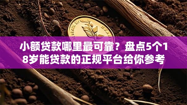 小额贷款哪里最可靠?盘点5个18岁能贷款的正规平台给你参考 小额贷款哪里最可靠?盘点5个18岁能贷款的正规平台给你参考