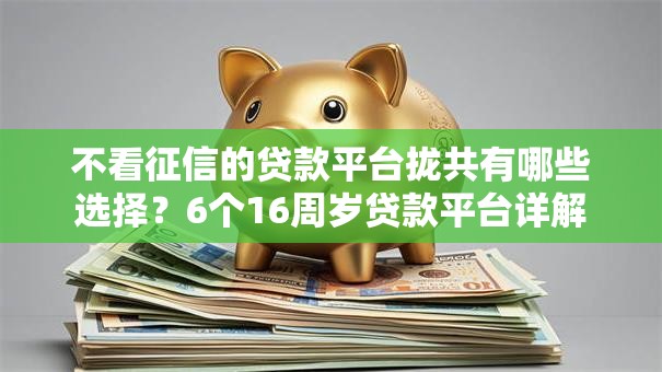 不看征信的贷款平台拢共有哪些选择？6个16周岁贷款平台详解