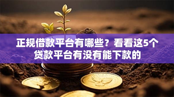 正规借款平台有哪些?看看这5个贷款平台有没有能下款的 正规借款平台有哪些?看看这5个贷款平台有没有能下款的