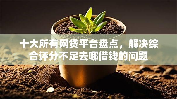 十大所有网贷平台盘点,解决综合评分不足去哪借钱的问题 十大所有网贷平台盘点,解决综合评分不足去哪借钱的问题