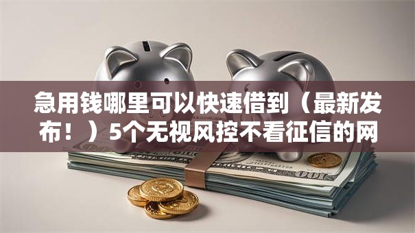急用钱哪里可以快速借到（最新发布！）5个无视风控不看征信的网贷