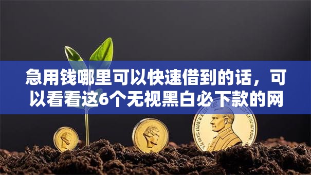 急用钱哪里可以快速借到的话,可以看看这6个无视黑白必下款的网贷软件 急用钱哪里可以快速借到的话,可以看看这6个无视黑白必下款的网贷软件