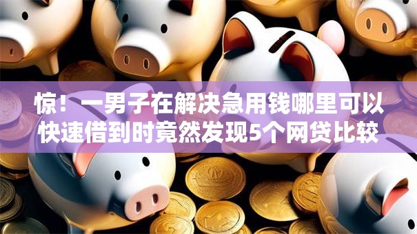 惊！一男子在解决急用钱哪里可以快速借到时竟然发现5个网贷比较正规的平台，事后分享了出来
