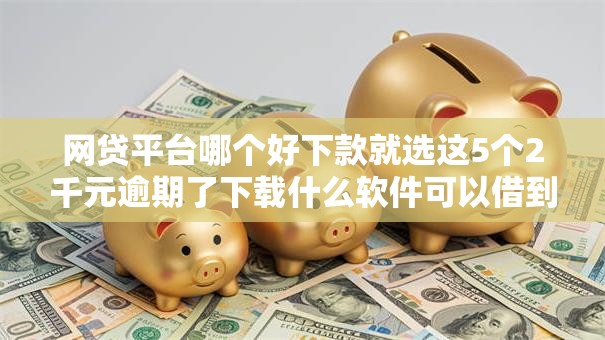 网贷平台哪个好下款就选这5个2千元逾期了下载什么软件可以借到钱