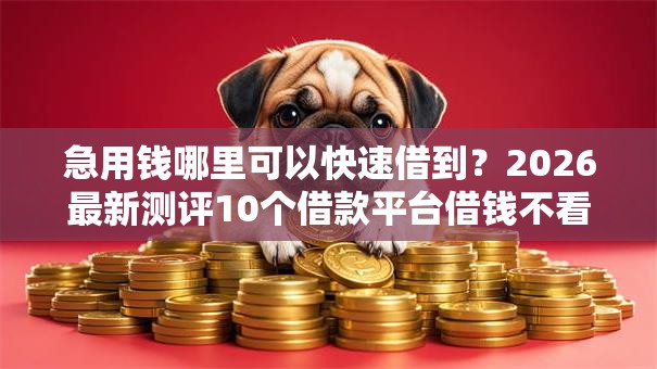 急用钱哪里可以快速借到?2026最新测评10个借款平台借钱不看征信 急用钱哪里可以快速借到?2026最新测评10个借款平台借钱不看征信