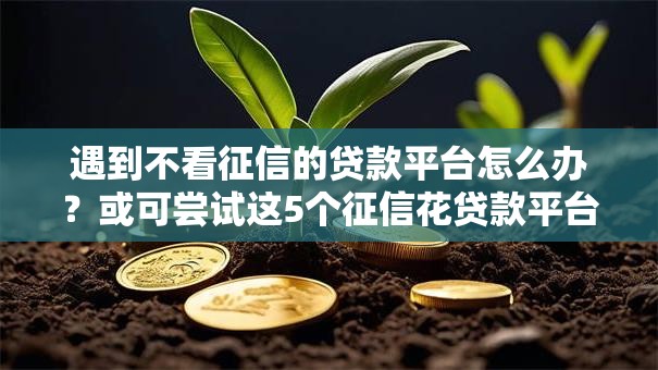 遇到不看征信的贷款平台怎么办？或可尝试这5个征信花贷款平台好下款