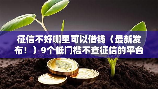 征信不好哪里可以借钱(最新发布!)9个低门槛不查征信的平台 征信不好哪里可以借钱(最新发布!)9个低门槛不查征信的平台