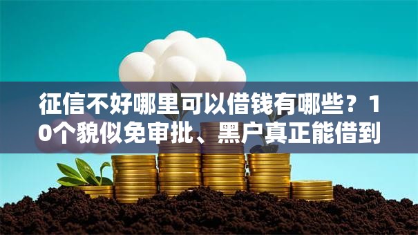 征信不好哪里可以借钱有哪些？10个貌似免审批、黑户真正能借到款的口子合集