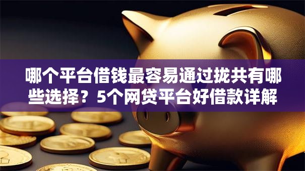 哪个平台借钱最容易通过拢共有哪些选择?5个网贷平台好借款详解 哪个平台借钱最容易通过拢共有哪些选择?5个网贷平台好借款详解