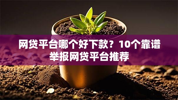 网贷平台哪个好下款?10个靠谱举报网贷平台推荐 网贷平台哪个好下款?10个靠谱举报网贷平台推荐