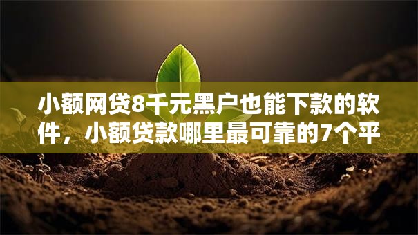 小额网贷8千元黑户也能下款的软件,小额贷款哪里最可靠的7个平台介绍 小额网贷8千元黑户也能下款的软件,小额贷款哪里最可靠的7个平台介绍
