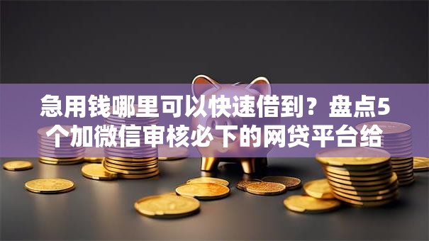 急用钱哪里可以快速借到？盘点5个加微信审核必下的网贷平台给你参考