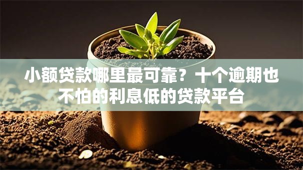 小额贷款哪里最可靠?十个逾期也不怕的利息低的贷款平台 小额贷款哪里最可靠?十个逾期也不怕的利息低的贷款平台