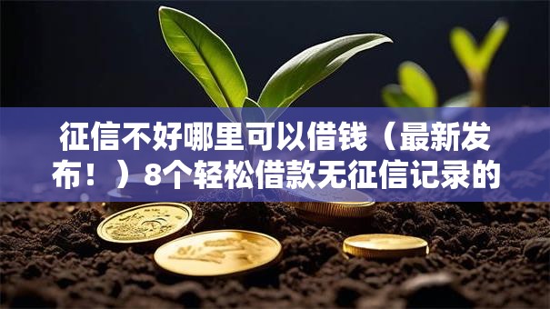 征信不好哪里可以借钱（最新发布！）8个轻松借款无征信记录的软件