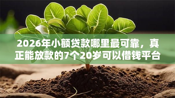 2026年小额贷款哪里最可靠，真正能放款的7个20岁可以借钱平台不查征信的口子推荐