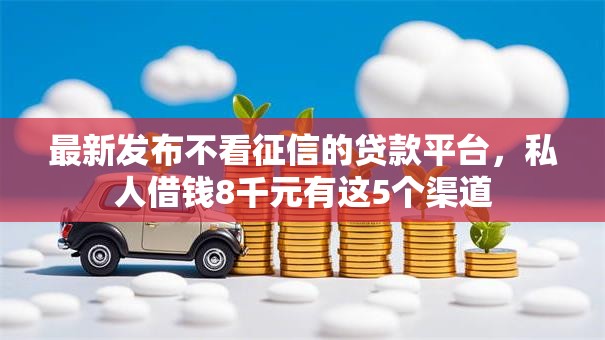 最新发布不看征信的贷款平台，私人借钱8千元有这5个渠道