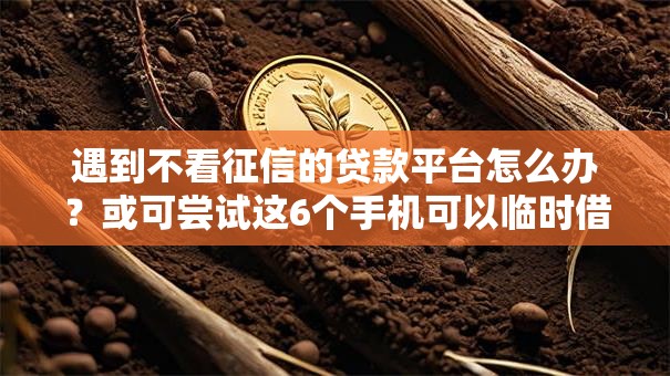 遇到不看征信的贷款平台怎么办？或可尝试这6个手机可以临时借钱的口子