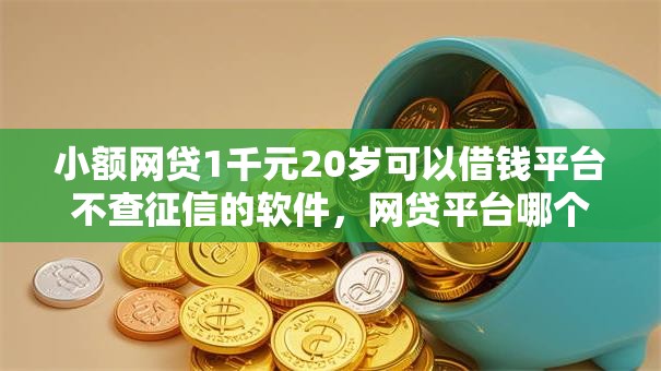 小额网贷1千元20岁可以借钱平台不查征信的软件，网贷平台哪个好下款的6个平台介绍