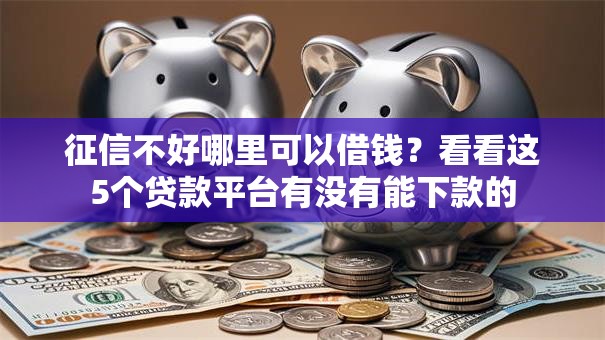 征信不好哪里可以借钱?看看这5个贷款平台有没有能下款的 征信不好哪里可以借钱?看看这5个贷款平台有没有能下款的