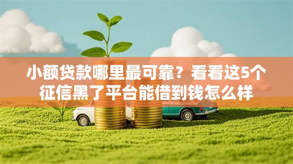 小额贷款哪里最可靠?看看这5个征信黑了平台能借到钱怎么样 小额贷款哪里最可靠?看看这5个征信黑了平台能借到钱怎么样