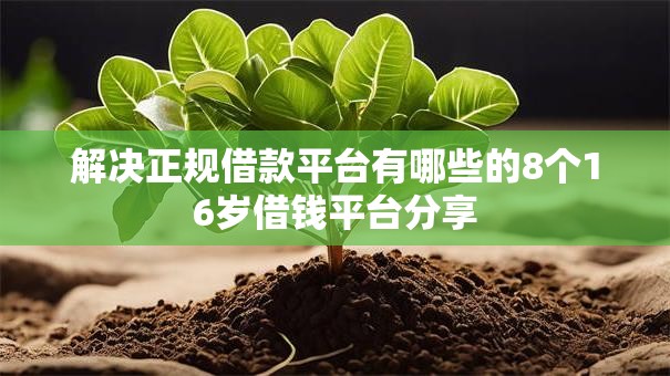解决正规借款平台有哪些的8个16岁借钱平台分享 解决正规借款平台有哪些的8个16岁借钱平台分享