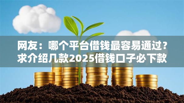 网友:哪个平台借钱最容易通过?求介绍几款2025借钱口子必下款 网友:哪个平台借钱最容易通过?求介绍几款2025借钱口子必下款