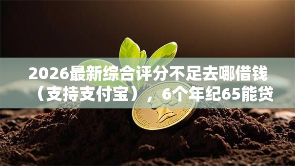 2026最新综合评分不足去哪借钱(支持支付宝),6个年纪65能贷款的平台无私分享 2026最新综合评分不足去哪借钱(支持支付宝),6个年纪65能贷款的平台无私分享