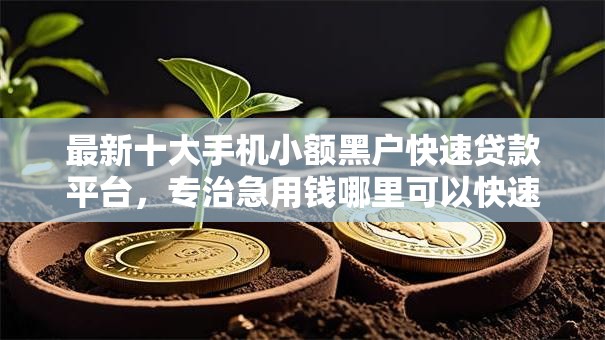 最新十大手机小额黑户快速贷款平台，专治急用钱哪里可以快速借到