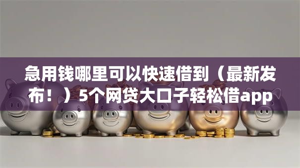 急用钱哪里可以快速借到（最新发布！）5个网贷大口子轻松借app