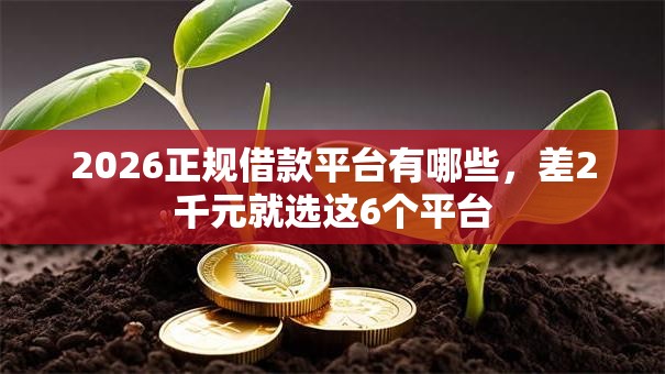 2026正规借款平台有哪些,差2千元就选这6个平台 2026正规借款平台有哪些,差2千元就选这6个平台