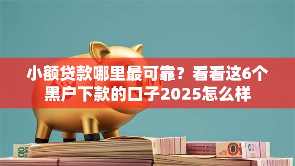 小额贷款哪里最可靠？看看这6个黑户下款的口子2025怎么样